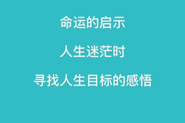 探寻“命”的不同解读：从领导到人生的启示之旅