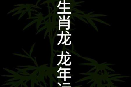 属相龙的命运解析，探索龙年出生人的人生之路