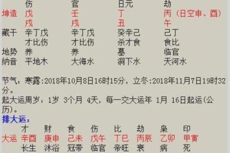 丁亥年生人的命运解析：五行属性与人生的联系