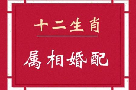 属相婚配中，最理想的命配对是哪个？探寻最佳伴侣组合！