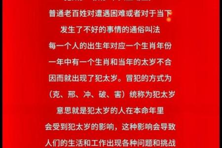 属狗人在24岁的时候命运的独特解读与人生启示