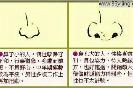 七五年出生男孩的命运解析：掌握人生方向的关键