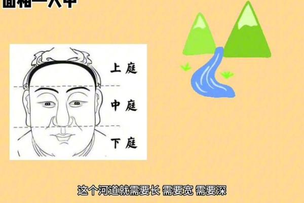 人中往上翘的命运解析：探寻面相与性格的秘密