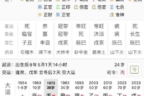 探秘八字命理：癸亥、甲子、戊戌、辛酉四类命的深刻解析