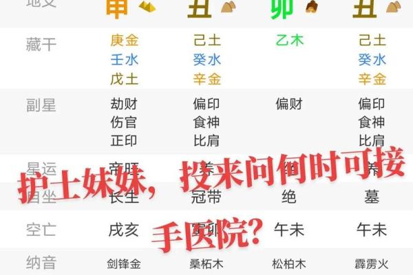 探秘庚子、己丑、乙亥命格的奥秘与启示