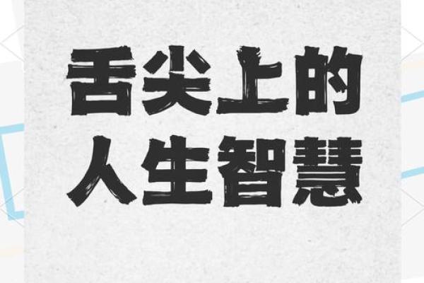 探寻2023年：兔年命理与人生智慧的完美结合