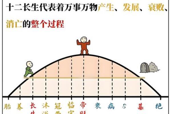 探寻2023年：兔年命理与人生智慧的完美结合