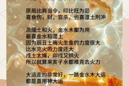 利用面相学解析，深入了解你的命运与性格！