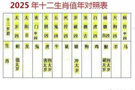 75岁属相解析：解密你的命运与人生轨迹