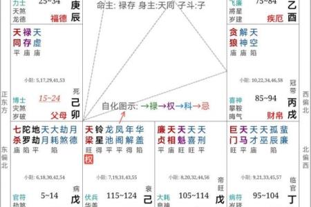 50岁，人生的转折点：如何重新定义自己的天子命