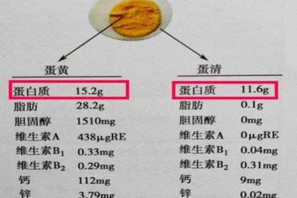 维它命500的全面功能与健康益处详解