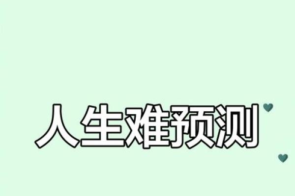 亥年未时生人命运探秘：命理之中的独特智慧与人生启示