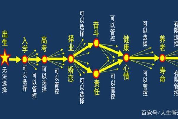 2008年8月1日出生命运解析：揭秘人生轨迹与性格特征