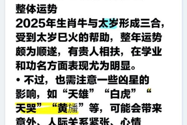 解读1950年出生者的生肖与命运：牛年的智慧与坚韧