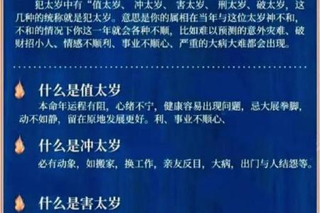 司命出生的男孩命运解析：你是命中注定的幸运儿吗？