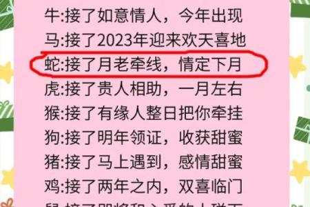 揭开生肖之谜：2023年出生的你属什么生肖，命运又如何？