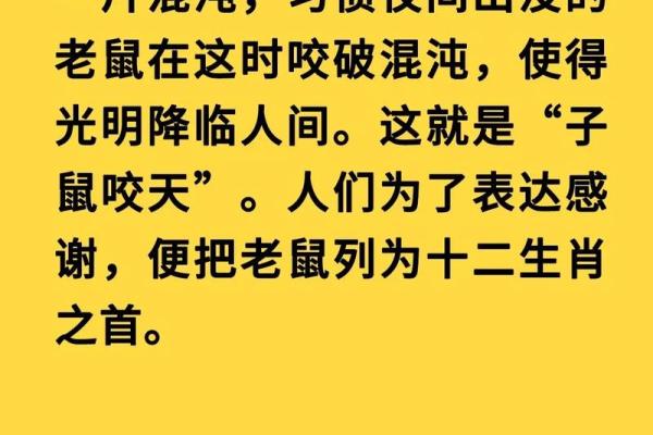 探索1984年鼠的命运：生活的智慧与运势的启示