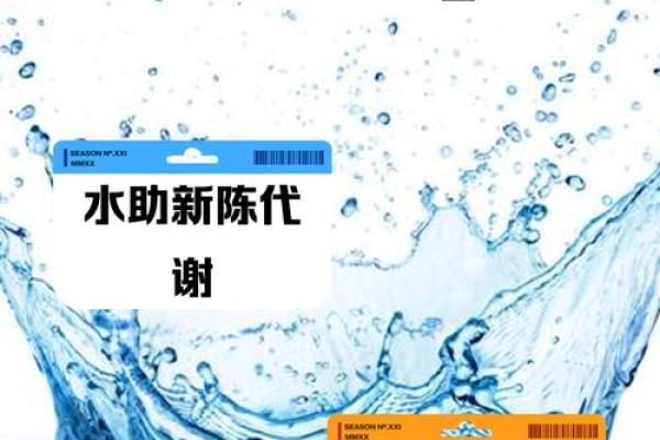 月命水：探索命理中的水元素及其影响力