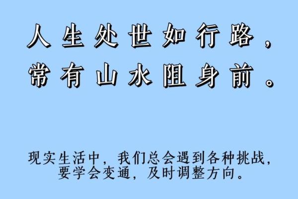 2007年属猪：解密命格与人生的独特旅程