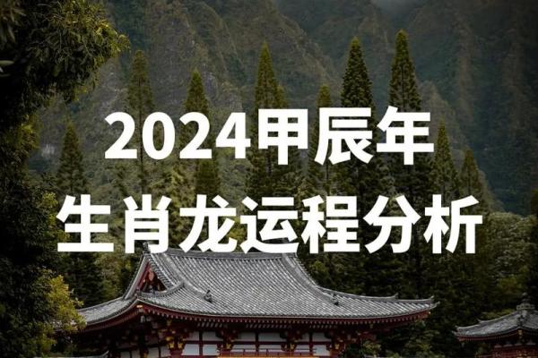 1987年龙年出生的命运解析与人生启示