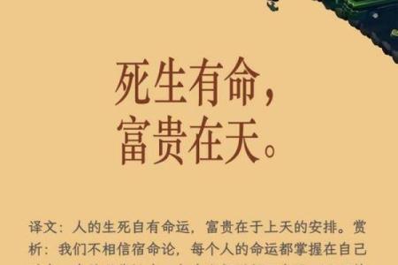 以“命”字为核心，探寻其偏旁与人生哲理的共鸣