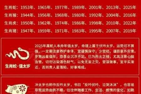 透视金命与颜色：如何通过颜色提升您的命运？