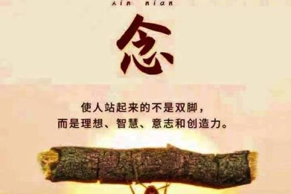 命与运：探寻人生的真正动力与意义