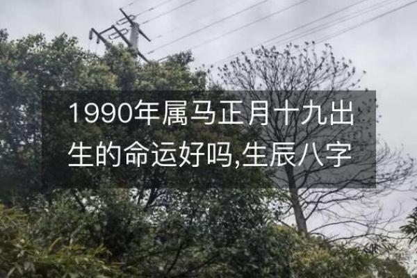 1990年出生的人：白色马的命运与性格解析