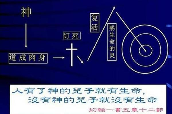 995年出生的命运解析：探索人生的启示与智慧