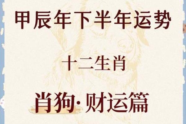 2006年属狗人的命运解析：智慧与勇气的结合之路