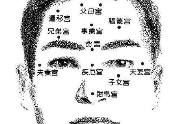 探秘面相学：如何辨别“白痴命”的面相特征