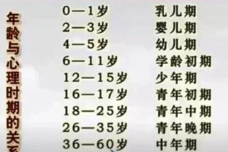 1997年农历11月出生的孩子：解读命运与性格的奥秘