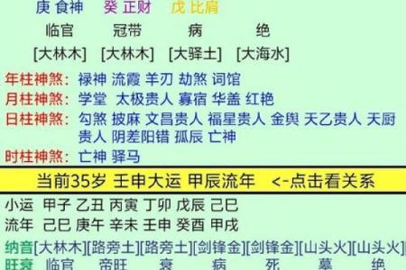 乙卯年女性命理解析：性格、特质与人生轨迹的深度探讨