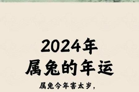 68岁属兔，命运揭秘：你是否真的懂兔命的奥秘？