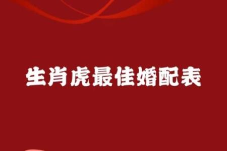 1986年属虎命婚配指南：幸福家庭的选择与平衡