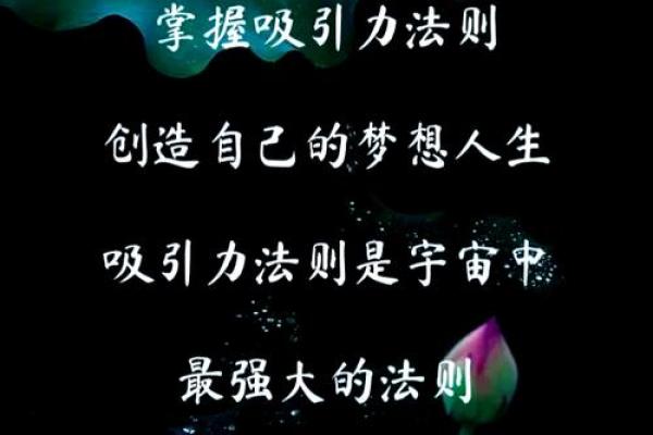 命里流花：揭示命运的深邃秘密与人生的无限可能