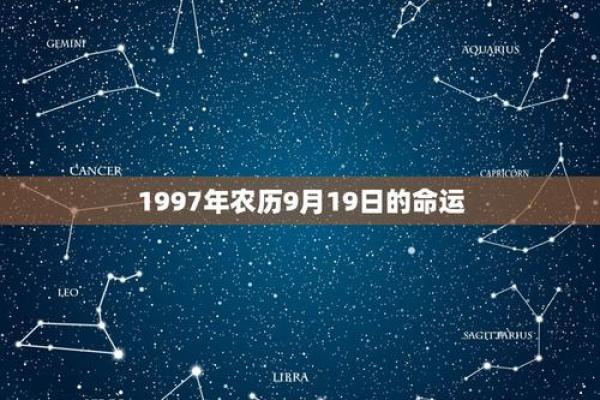 探索2004年9月出生人的命运与性格特征