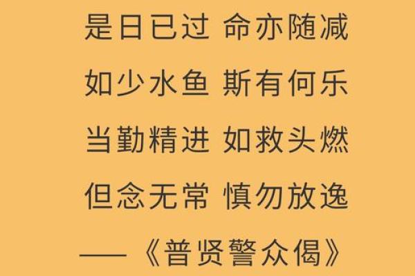 命已是什么意思？探讨命运与人生的深刻含义