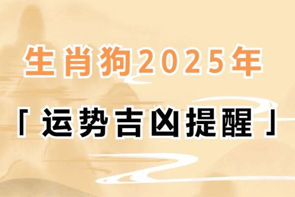 揭秘2018年农历八字命运：走进生肖狗的世界