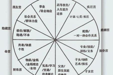 了解你的命格：如何通过命格指引选择人生方向与事业路径