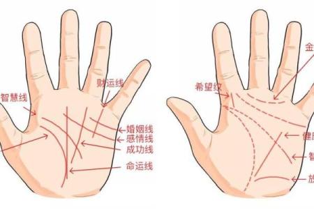 揭示手相之谜：为何你可能是富贵命的拥有者？