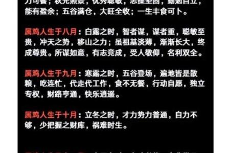 属鸡人金命忌讳解析：如何规避不利因素提升运势