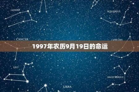 探索2004年9月出生人的命运与性格特征