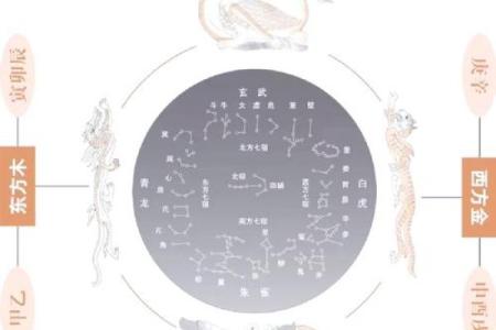 命卦与动物：古老智慧中的生命象征与启示