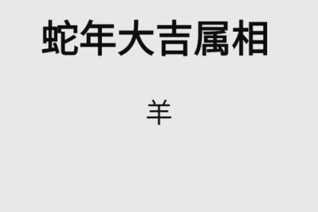 67年出生的人命运解析：揭秘生肖羊的神秘人生之旅