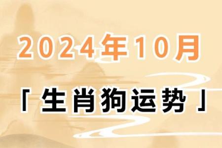 1994年出生的属犬人：火之命的神秘与机遇探究