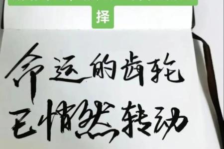 命运抉择：探索“命”字相关的悬疑成语与人生智慧