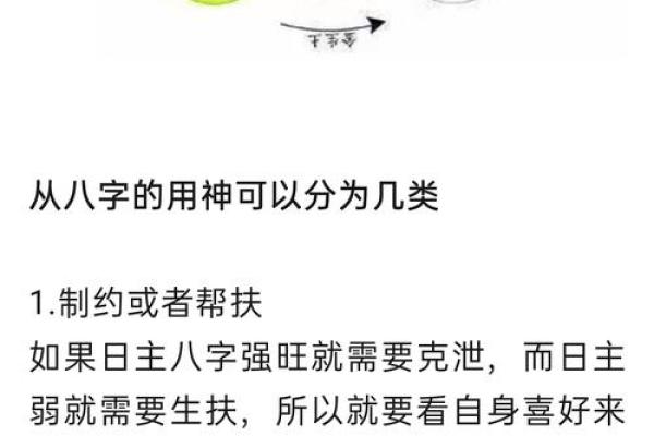 丙戌年出生的人命理解析：发现你命中的那些秘密