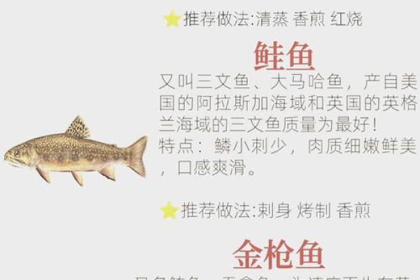 海中金命者与鱼类的和谐关系：最适合的鱼种推荐