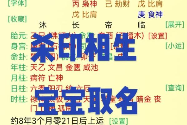 1977年出生的人究竟属什么命？探秘命理与性格的神奇联结